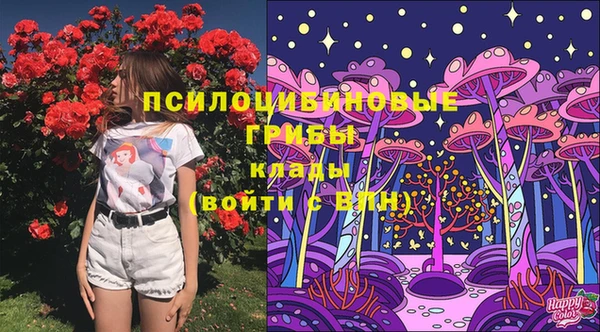 гидропоника Медногорск