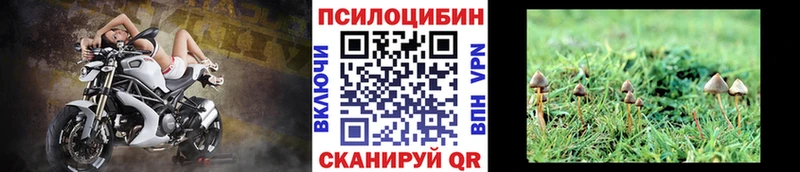 дарк нет официальный сайт  Бикин  Галлюциногенные грибы Psilocybe  купить наркотики сайты 